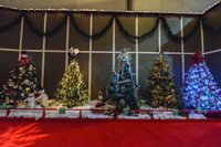 Christmas Tree Lane Christmas Tree Lane