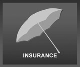 insurance_gray