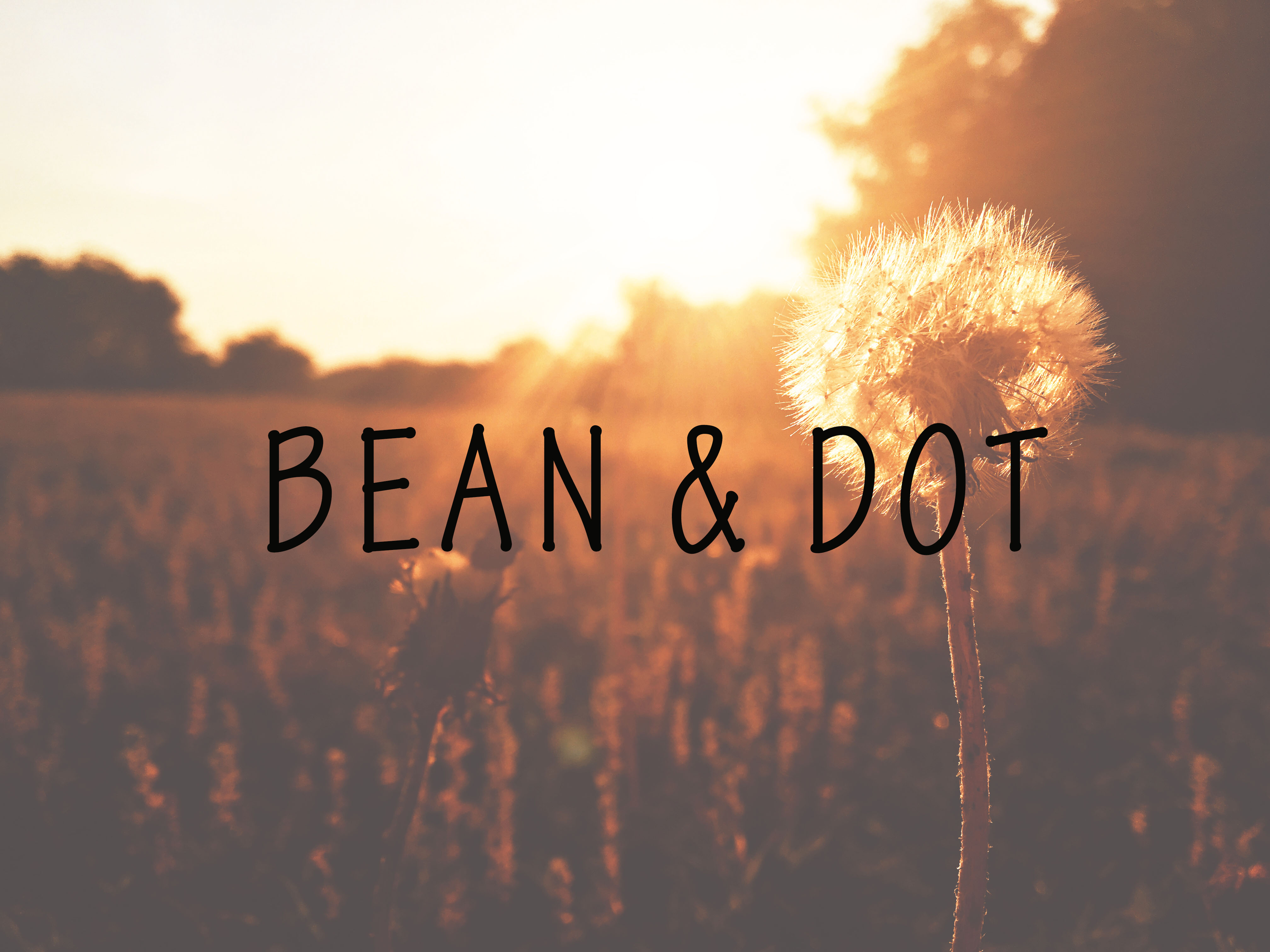 Bean& Dotlogo.jpg