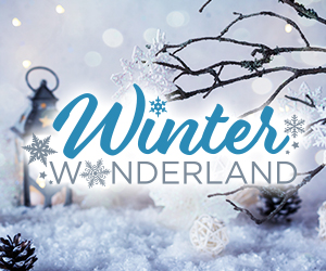 Winter Wonderland Theme Logo
