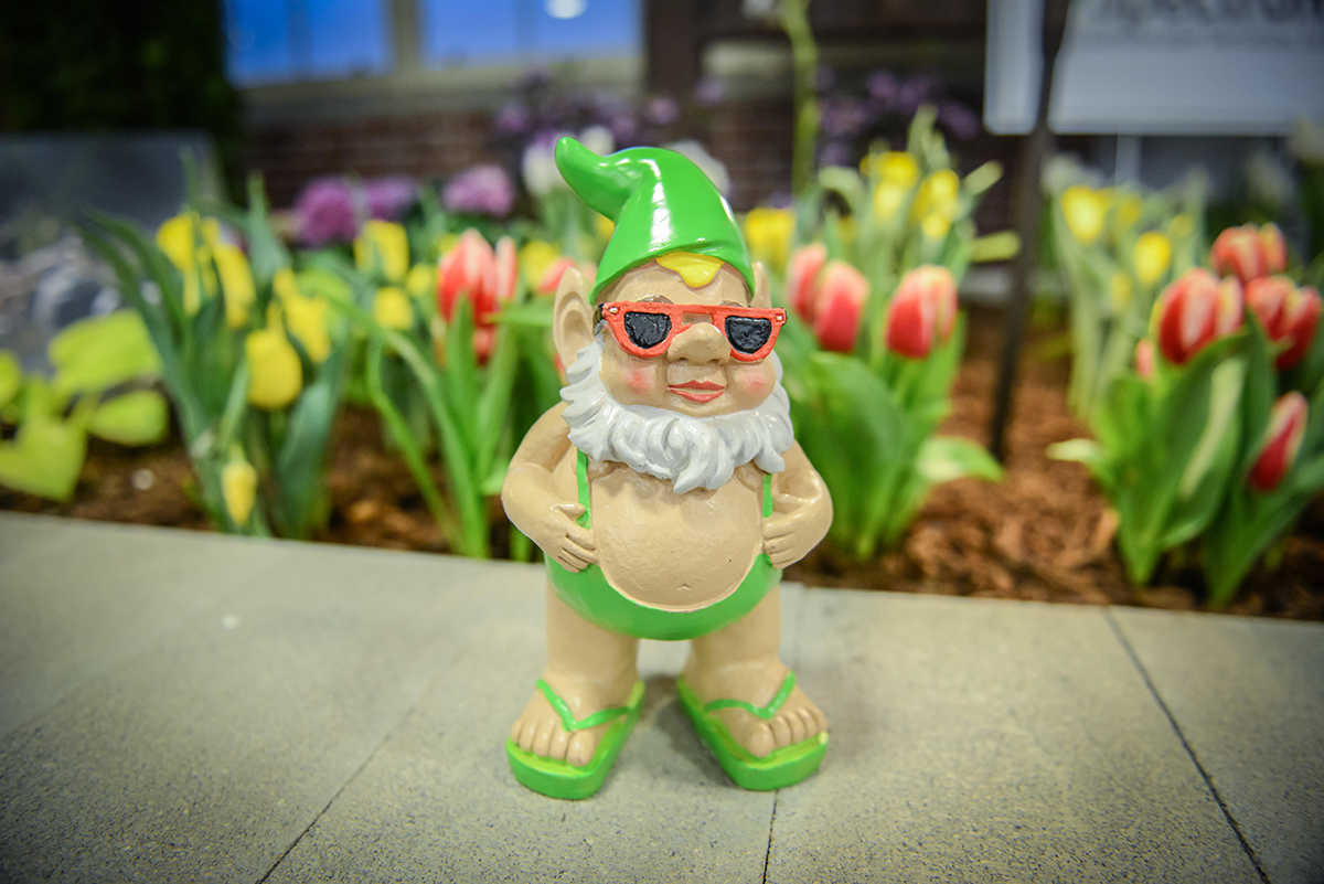 Better Gnomes and Gardens Better Gnomes and Gardens