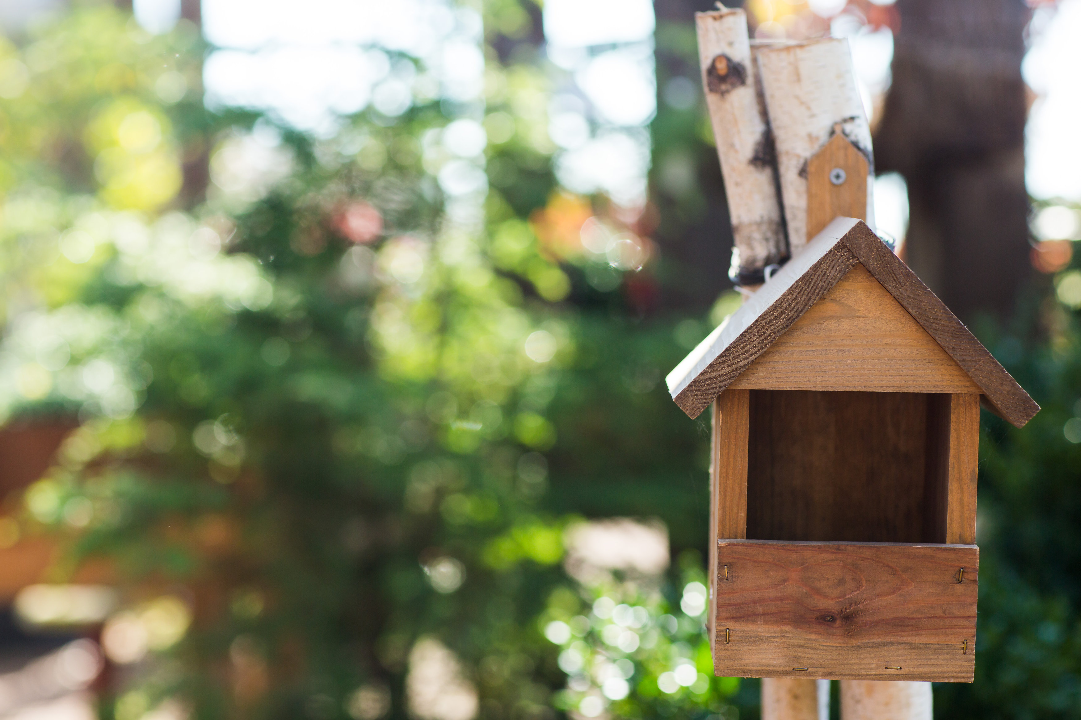 Birdhouse Birdhouse