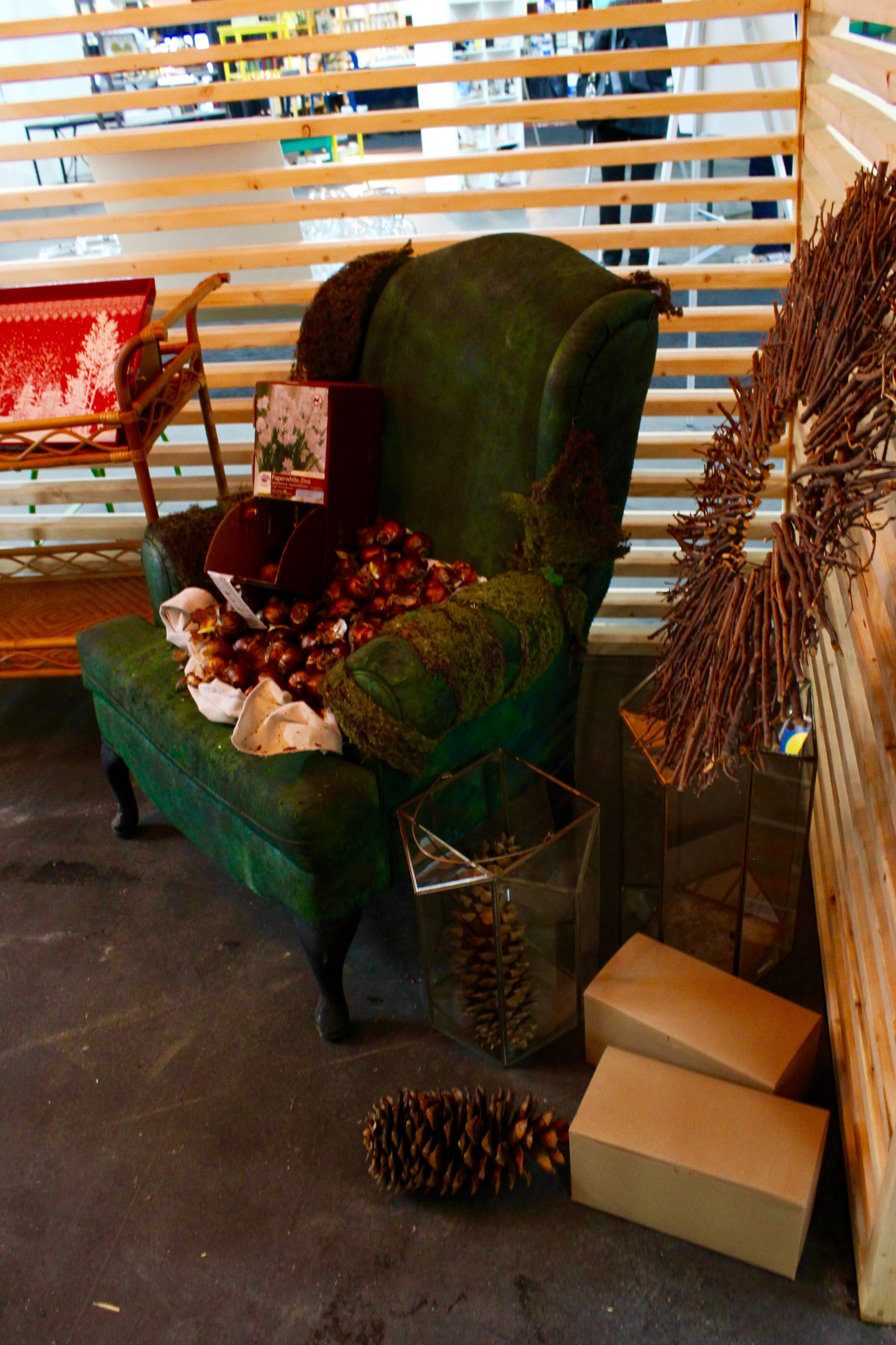 Edmonton Fall Home Show Survival Guide