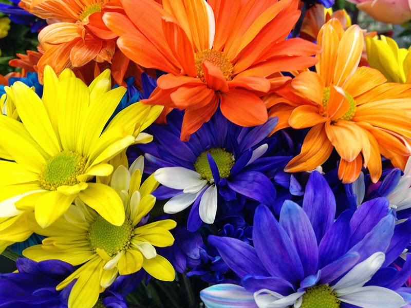 Flowers Flowers