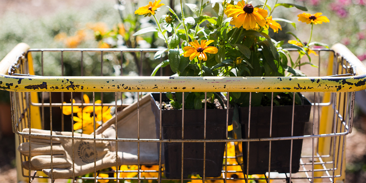Gardening Gardening