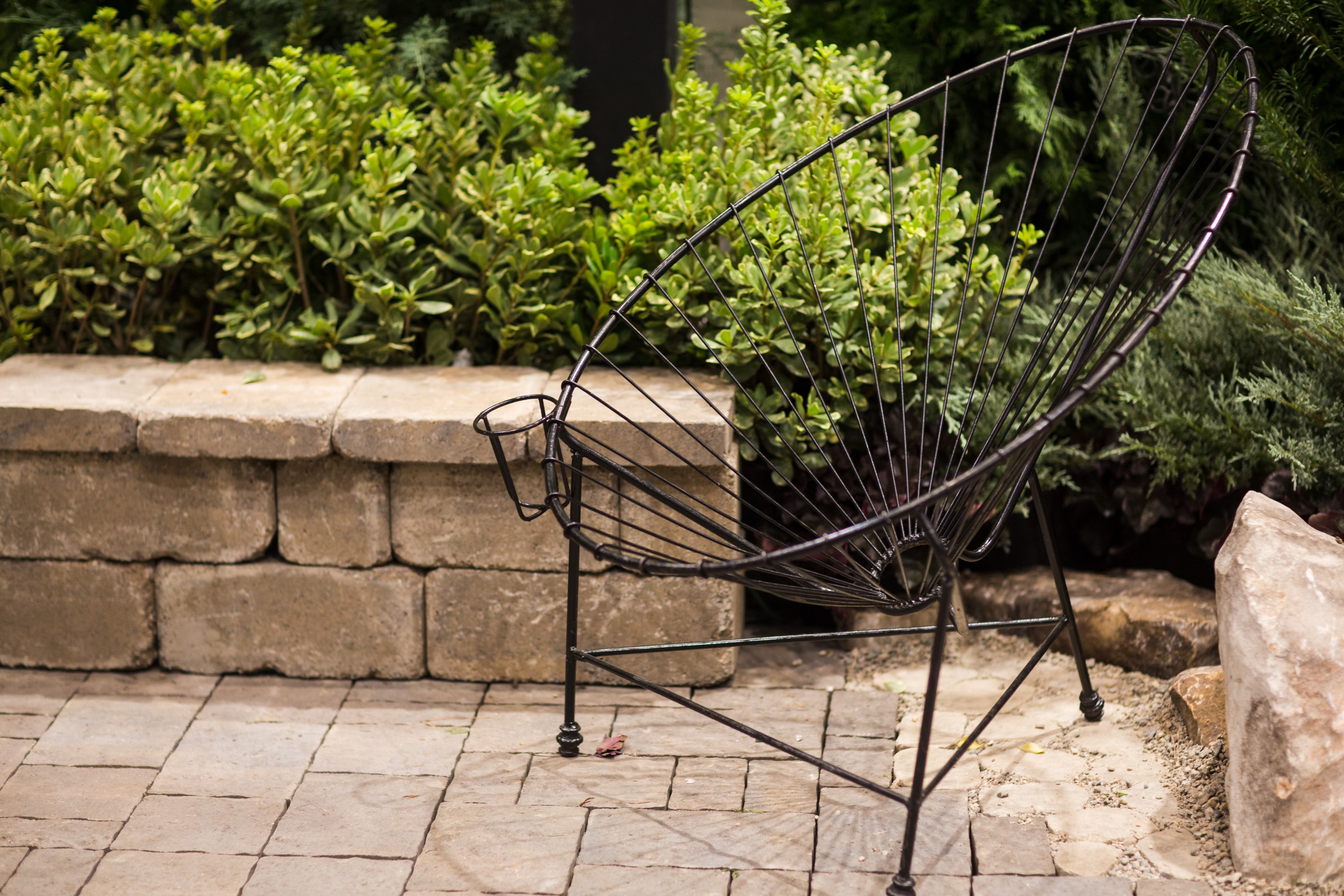 Patio Wall Shrubs