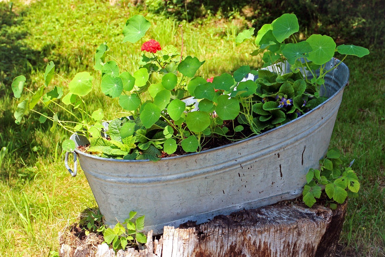 Planter Planter