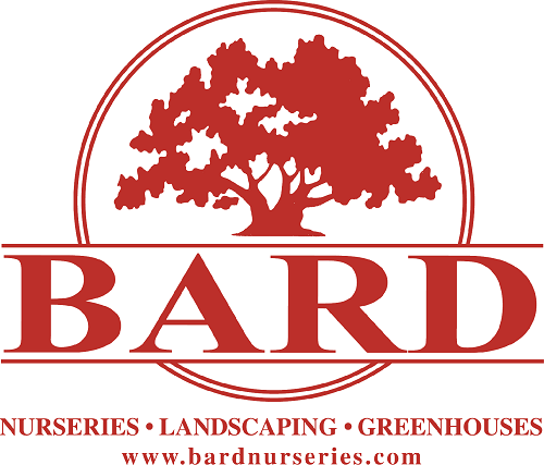 Bard logo Bard logo