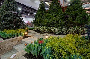 feature garden image photo of garden