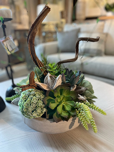 succulent succulent