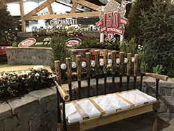Cincinnati Reds Anniversary Garden Cincinnati Reds Anniversary Garden