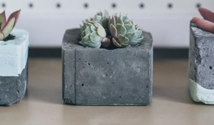 Planter-1 Planter-1
