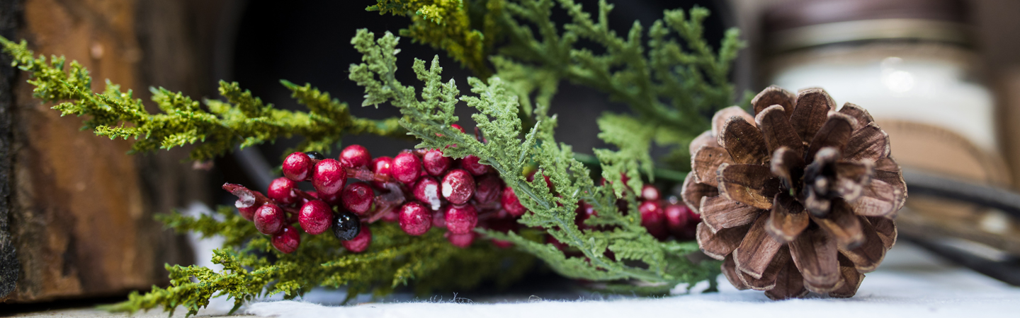 close-up of pine and cranberries