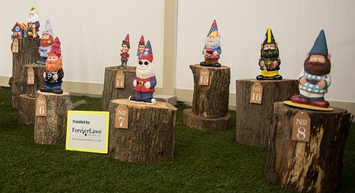 gnomes gnomes